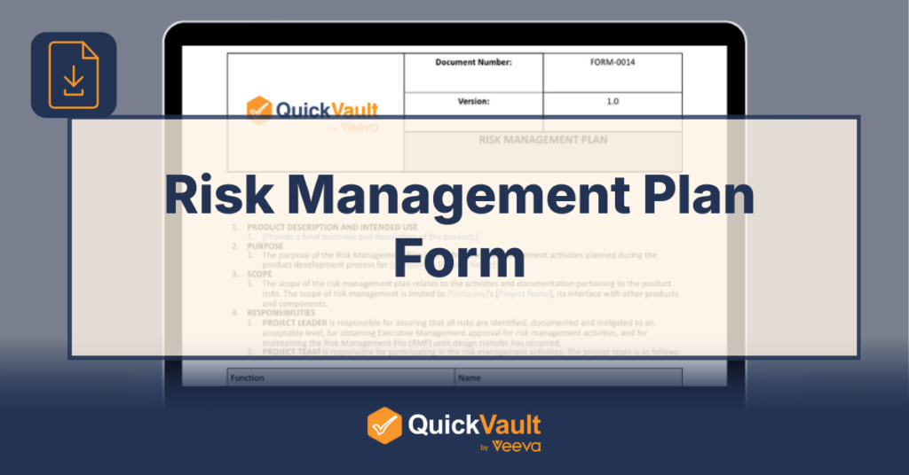 Risk Management Plan Form - download