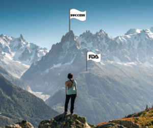 Regulatory Approval to Market Success Journey